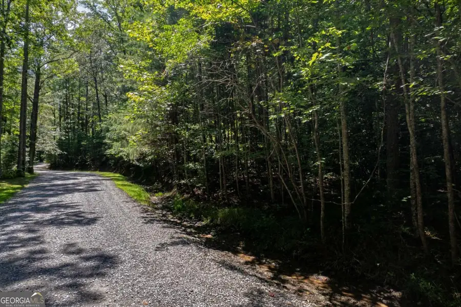LOT 6 Heatherwood Way, Talking Rock, GA 30175 - Image #3