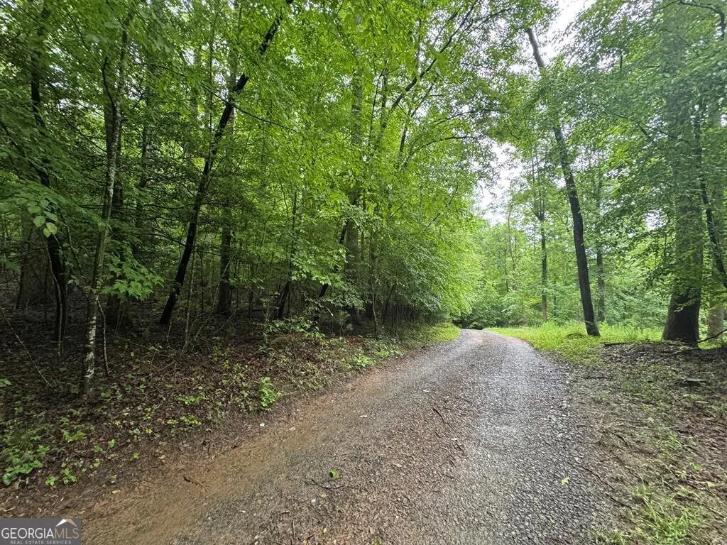 1.23 AC Bear Run Circle #101,117-9, Ellijay, GA 30540 - #1