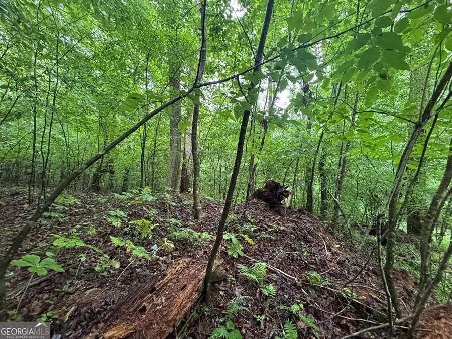 1.23 AC Bear Run Circle #101,117-9, Ellijay, GA 30540 - #3