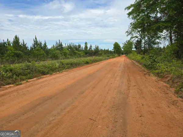 035 Beckwith Road, Ellaville, GA 31806