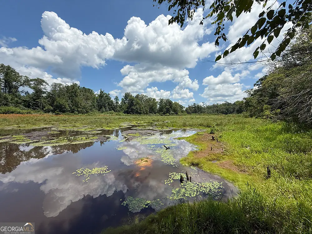 0 Fox Creek Road, Preston, GA 31824 - Image #1