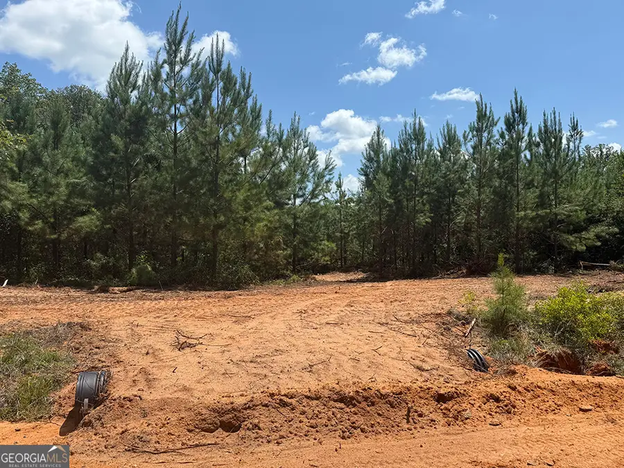 0 Fox Creek Road, Preston, GA 31824 - Image #2