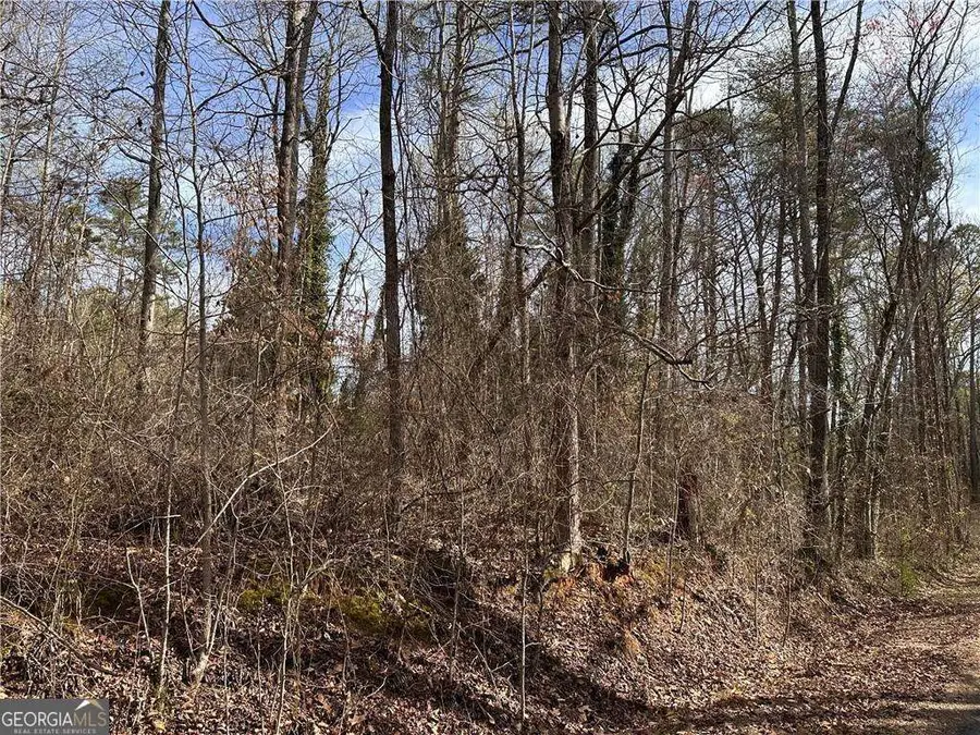 6785 Anderson Lake Road, Dawsonville, GA 30534 - #3