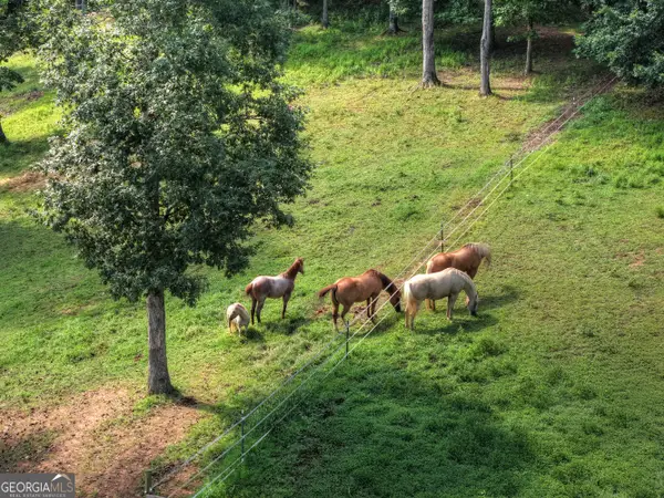 79 Stewart Lane, Morganton, GA 30560