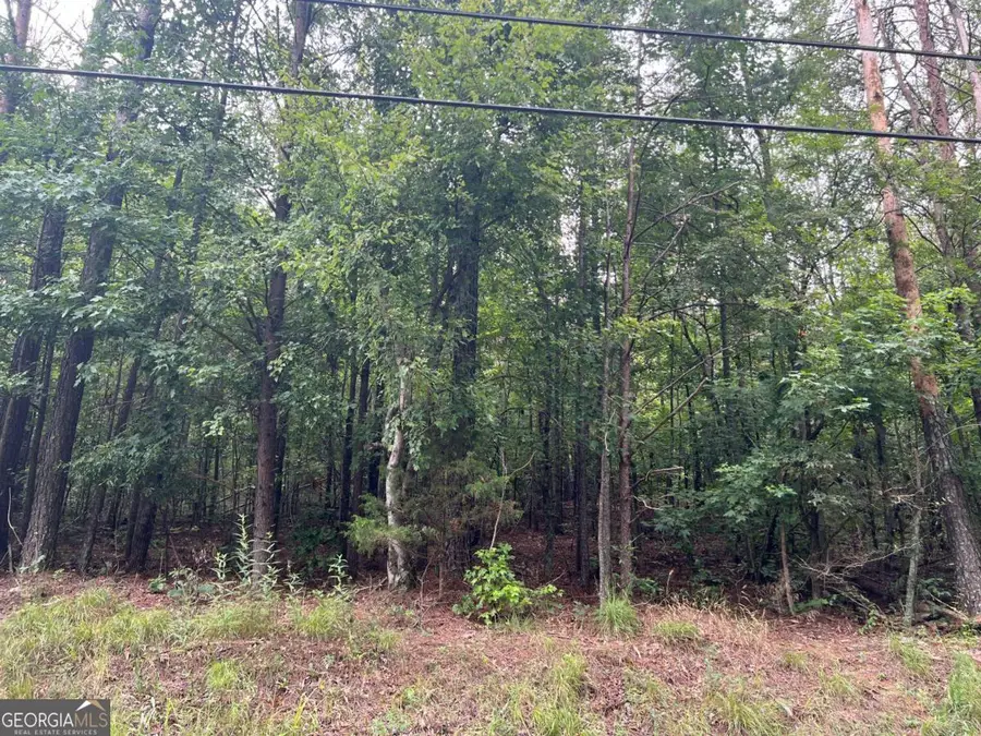 119 Kirk Road Nw, White, GA 30184 - Image #3