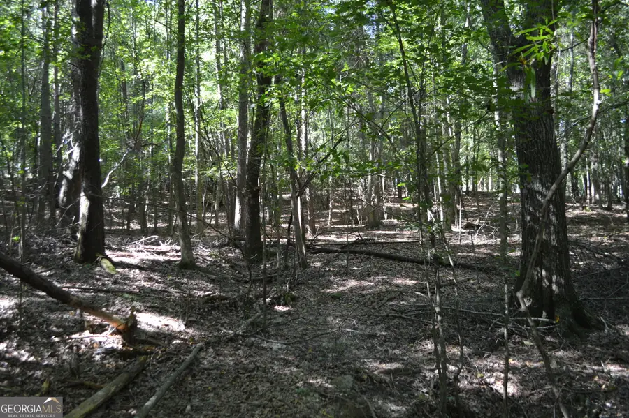 5 Ripplewood Trail, Euharlee, GA 30145 - Image #2