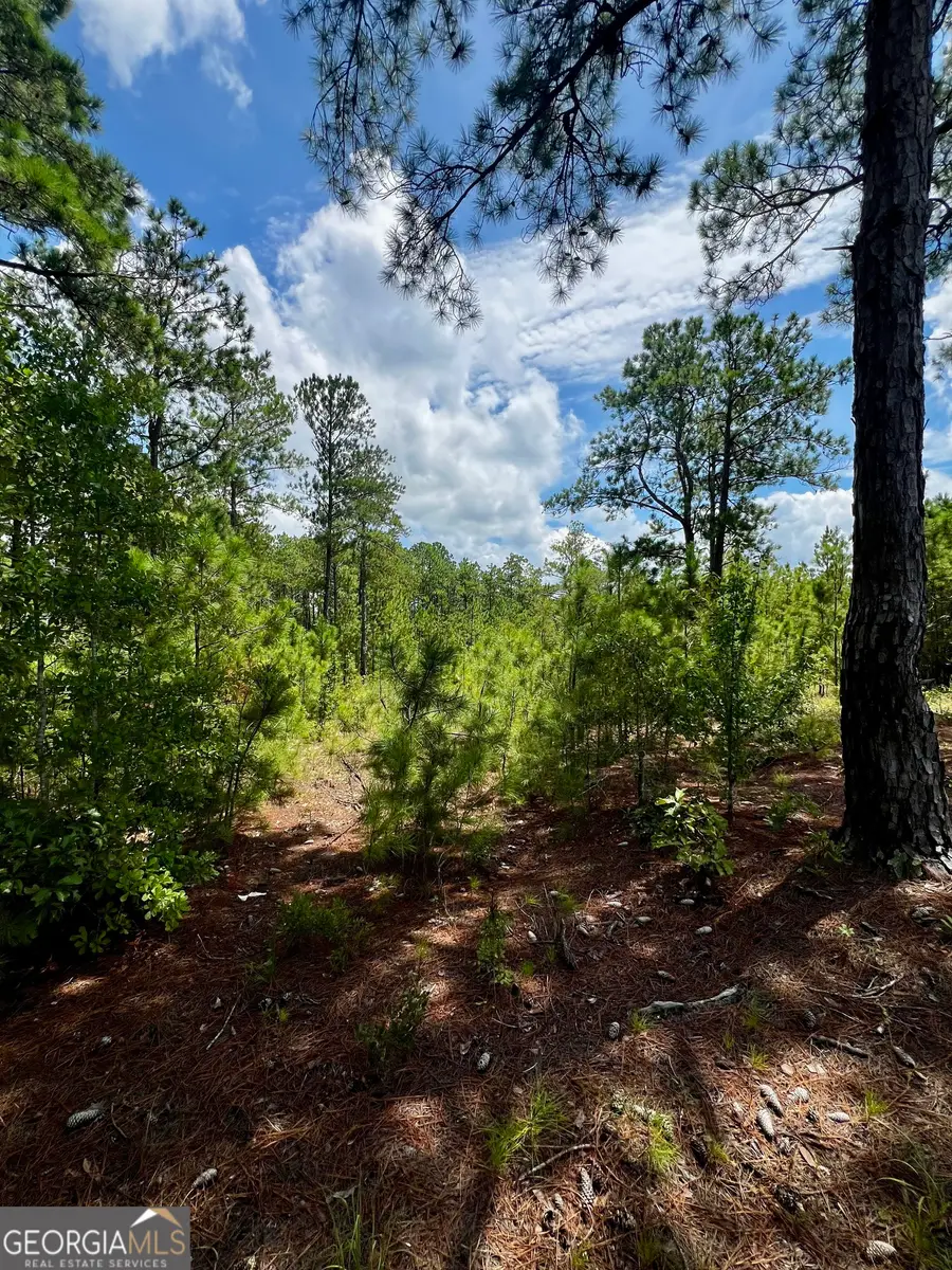 0 Dublin Eastman Road, Dexter, GA 31019 - Image #2