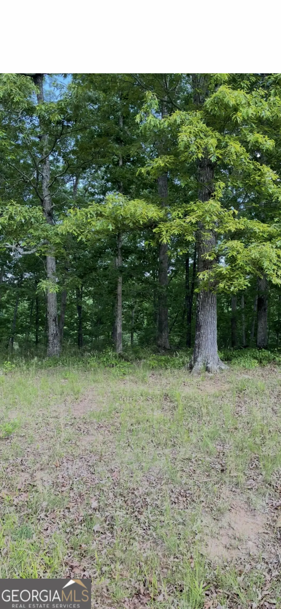 108 Timber Ridge Drive, Griffin, GA 30224 - Image #1