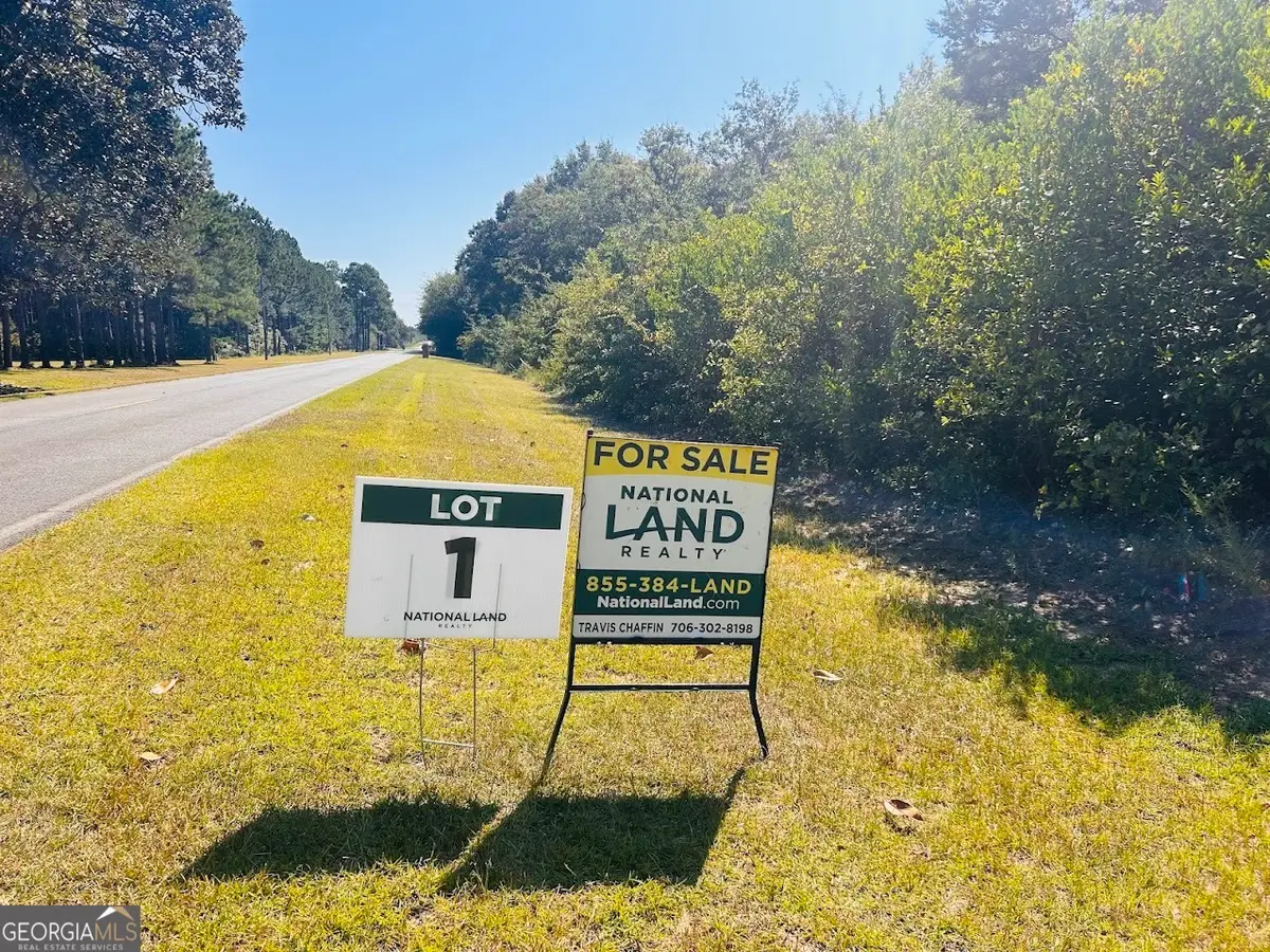 0 Moores Chapel Road #1, Mauk, GA 31058 - Image #1