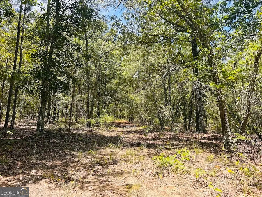 0 Moores Chapel Road #1, Mauk, GA 31058 - Image #2
