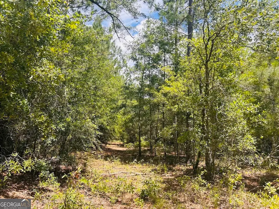 0 Moores Chapel Road #1, Mauk, GA 31058 - Image #3