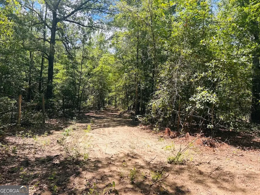 0 Moores Chapel Road #2, Mauk, GA 31058 - Image #2