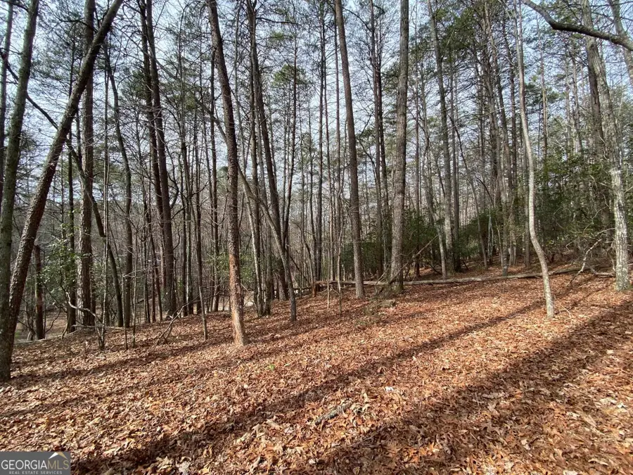 0 Skylake Road, Sautee Nacoochee, GA 30571 - Image #2