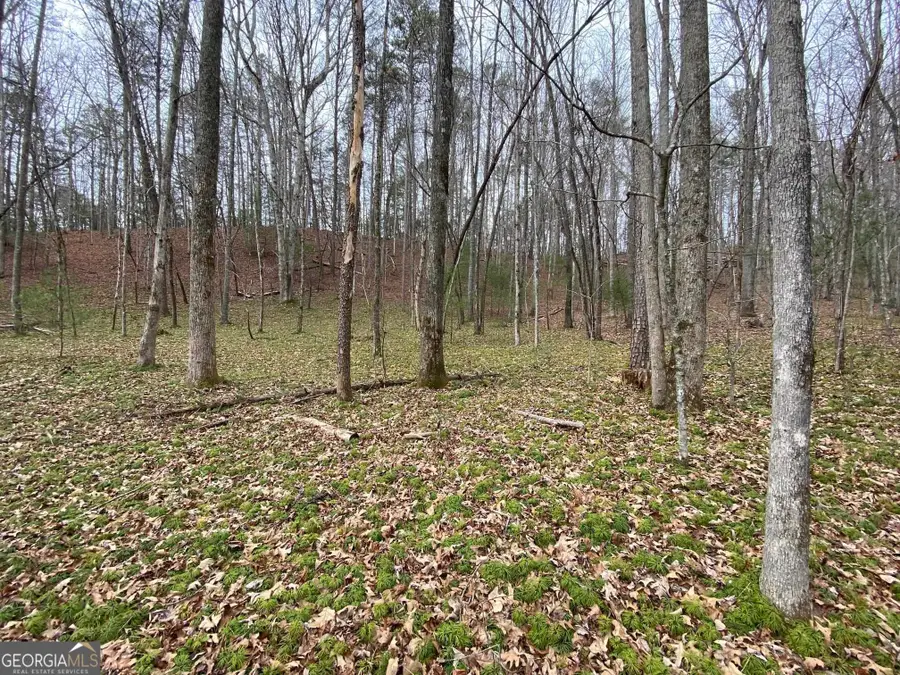 0 Skylake Road, Sautee Nacoochee, GA 30571 - Image #3