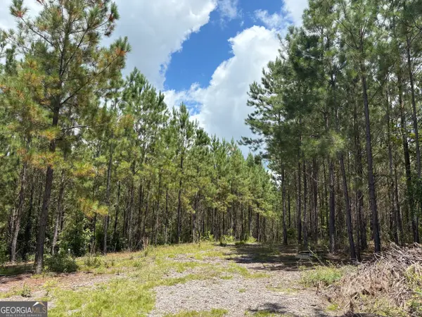 0 Black Creek Road, Gordon, GA 31031