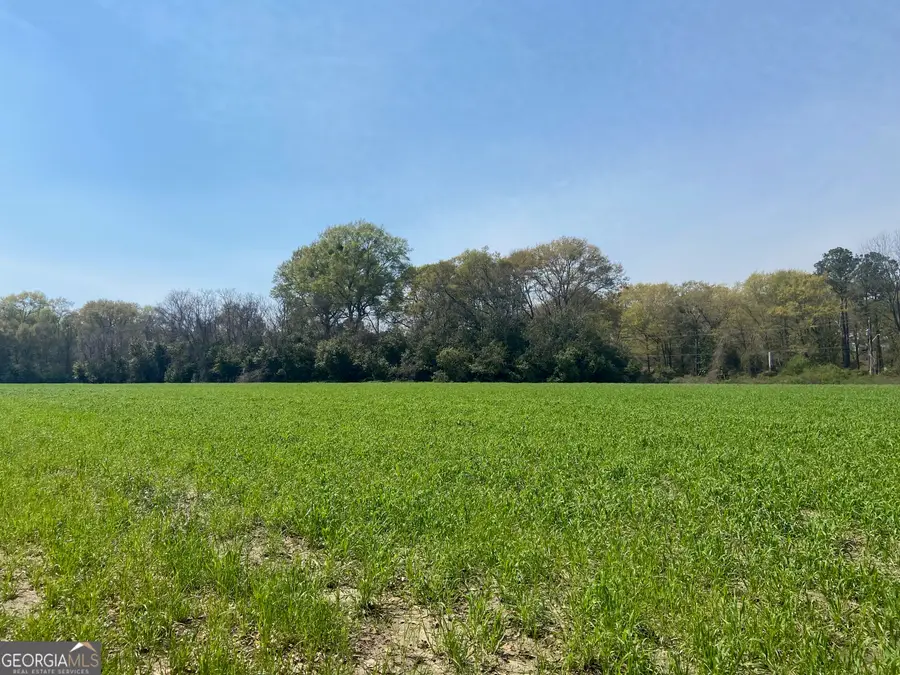 0 Moseley Road, Byron, GA 31008 - Image #2