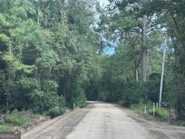 0 Jw Lane Road, Brooklet, GA 30415