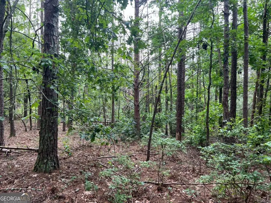 0 Timberwood Road Nw #2, White, GA 30184 - Image #2