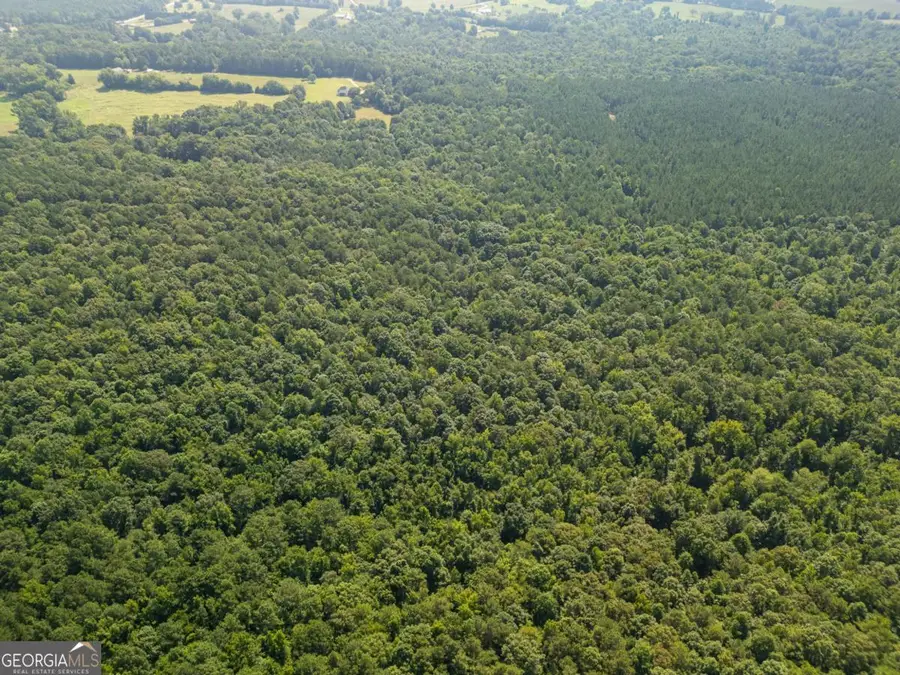 0 Carey Station, Greensboro, GA 30642 - Image #2