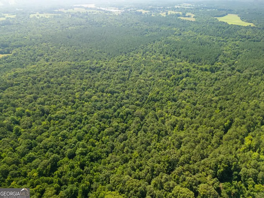 0 Carey Station, Greensboro, GA 30642 - Image #3