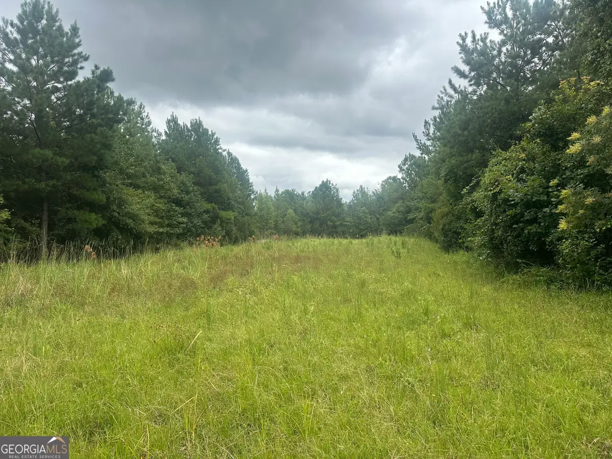 0 Hiltonia-perkins Road, Sylvania, GA 30467 - Image #1