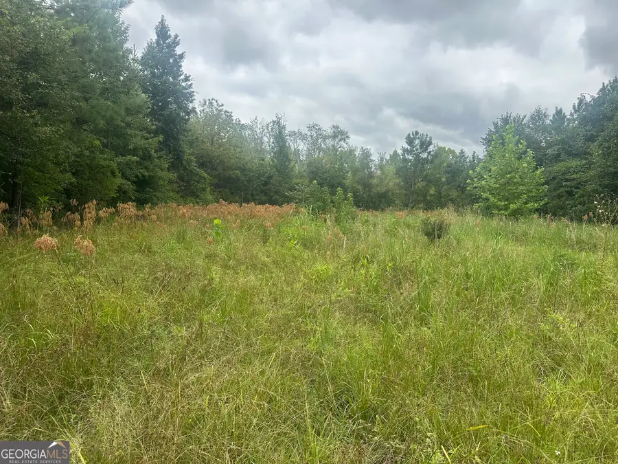 0 Hiltonia-perkins Road, Sylvania, GA 30467 - Image #2