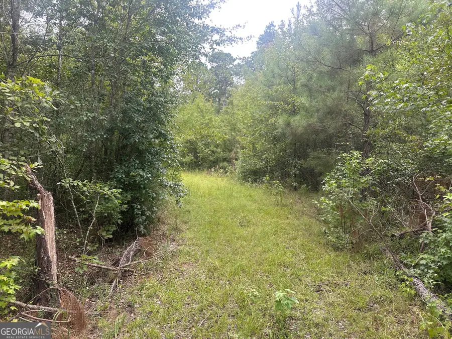 0 Hiltonia-perkins Road, Sylvania, GA 30467 - Image #3