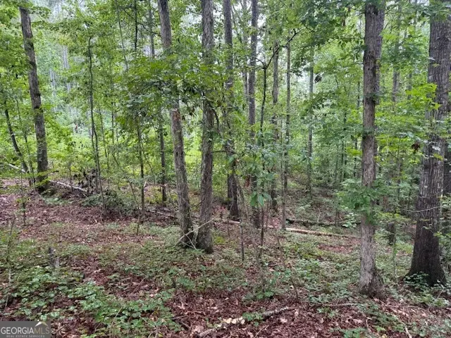 0 Dr Fisher Road, Franklin, GA 30217 - Image #3