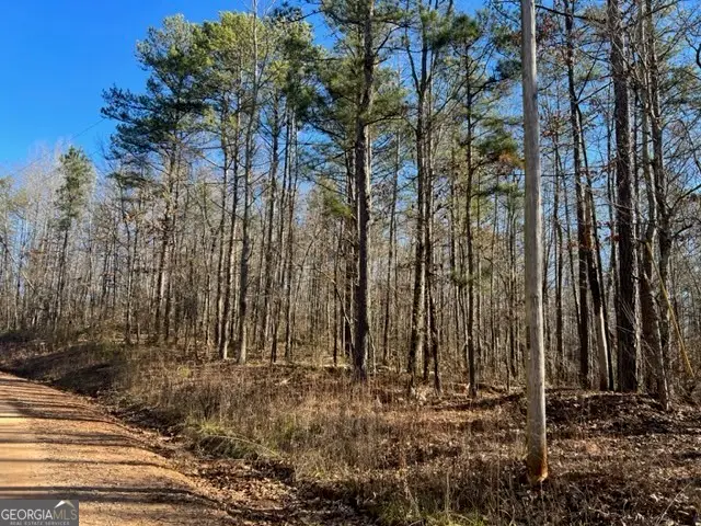 0 Creek Road, Ashland, AL 36251 - Image #1