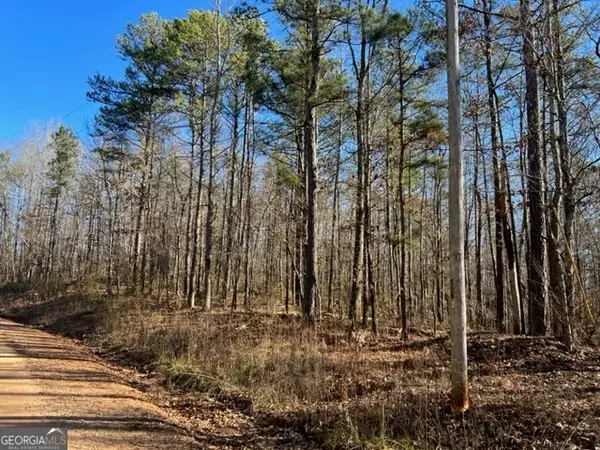 0 Creek Road, Ashland, AL 36251