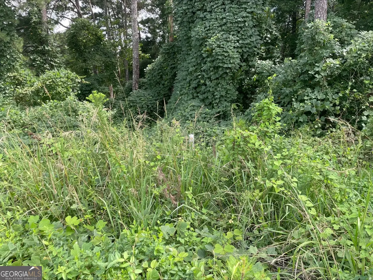 0 Jodeco #LOT 16, McDonough, GA 30253 - Image #1