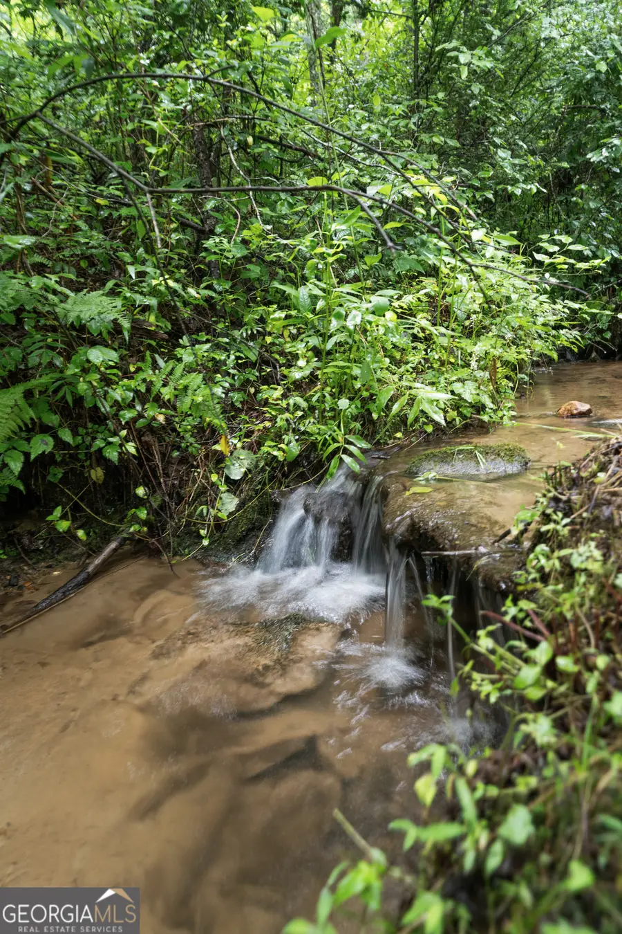 149 Happy Hollow Lane, Mineral Bluff, GA 30559 - Image #2