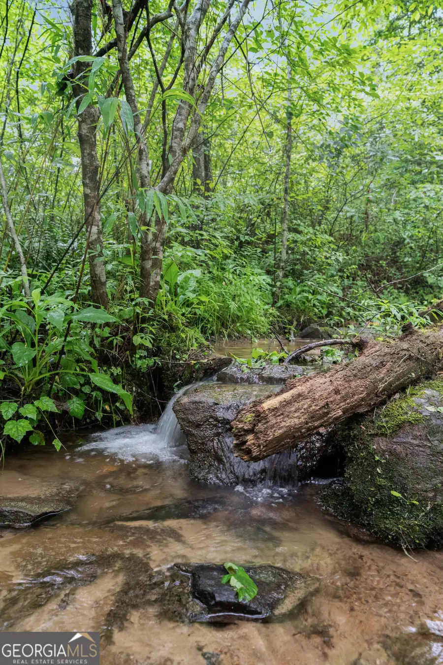 149 Happy Hollow Lane, Mineral Bluff, GA 30559 - Image #3