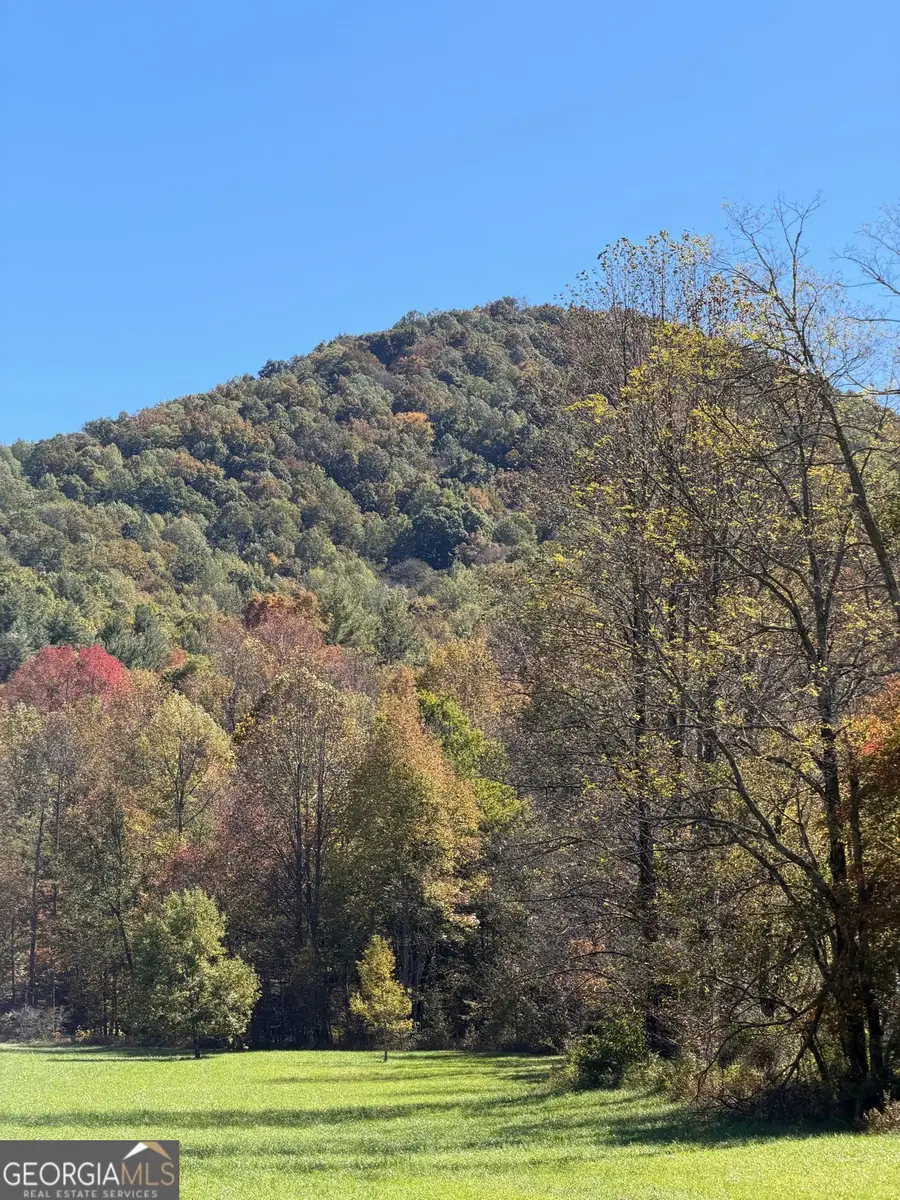 0 Old Bucktown Road, Ellijay, GA 30536 - Image #2