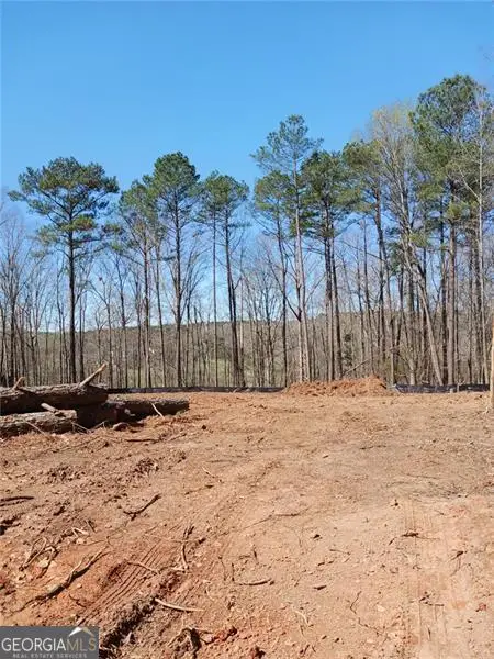 3737 Highway 20 E, McDonough, GA 30252 - #3