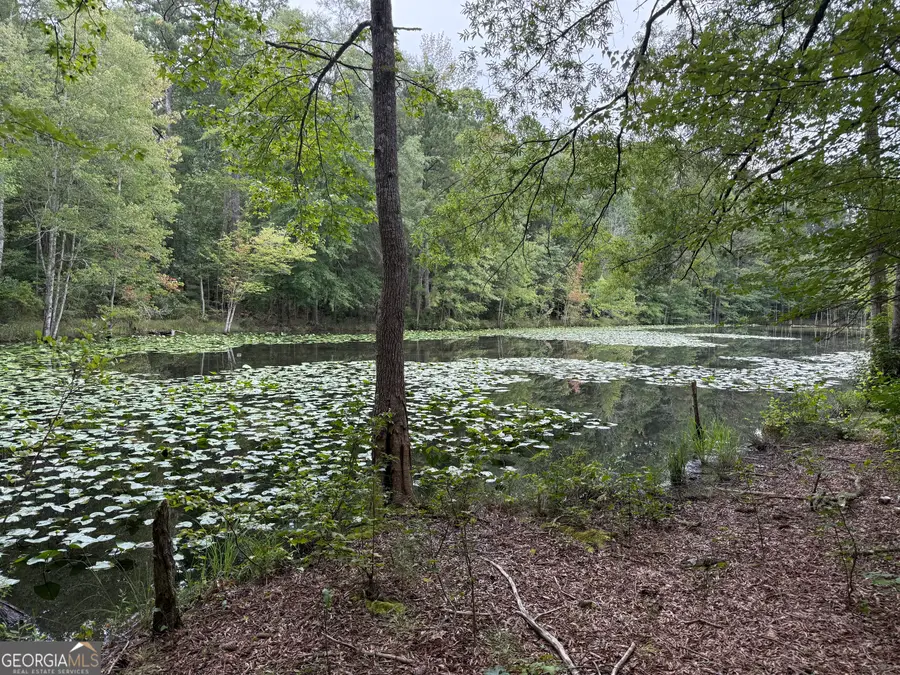 231 Sandy Lane, Brooks, GA 30205 - Image #2