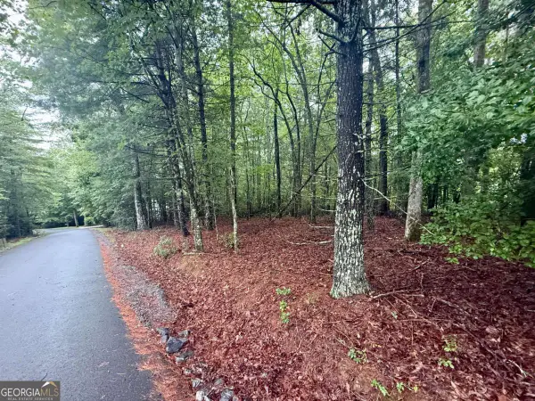 LOT 15 White Pine Drive, Hayesville, NC 28904