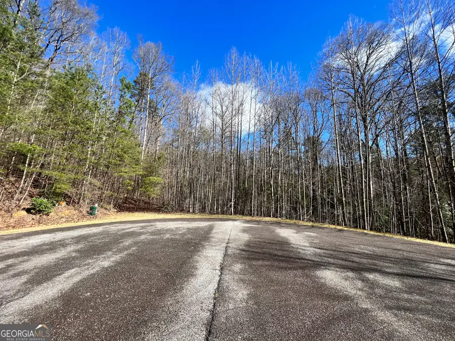 12 ACRES, Still Road, Clarkesville, GA 30523 - #2