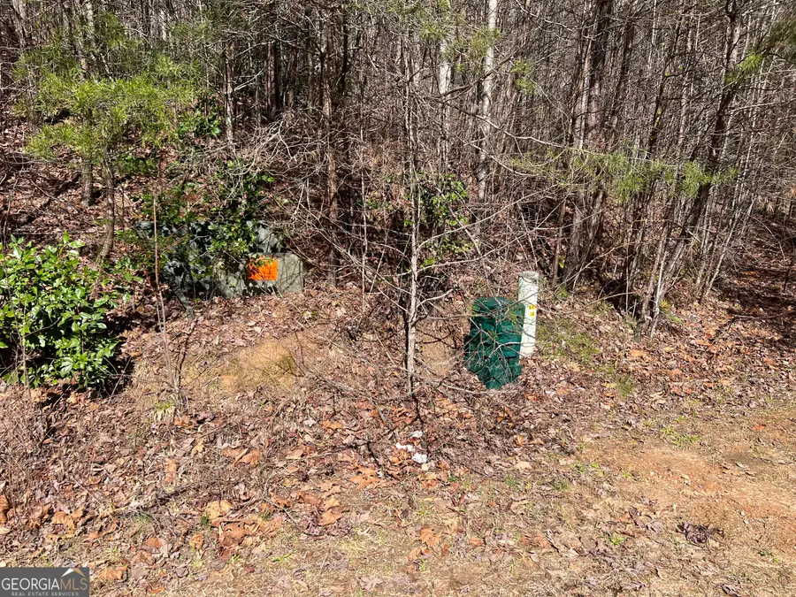 12 ACRES, Still Road, Clarkesville, GA 30523 - #3