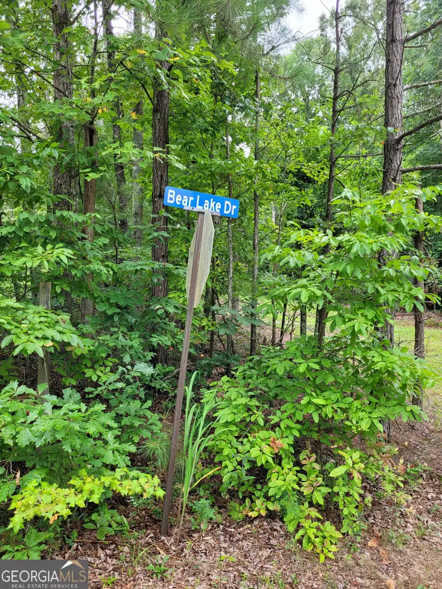 0 Bear Lake Drive, Douglasville, GA 30135 - Image #2