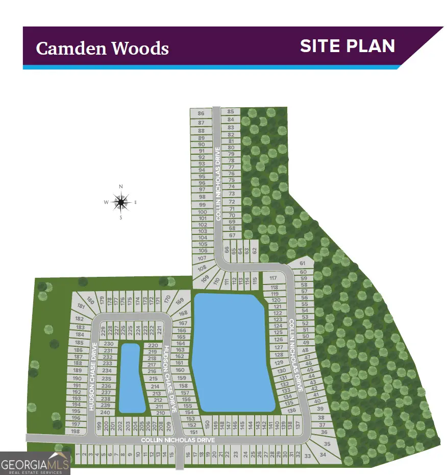 216 Collin Nicholas Drive, Kingsland, GA 31548 - Image #3