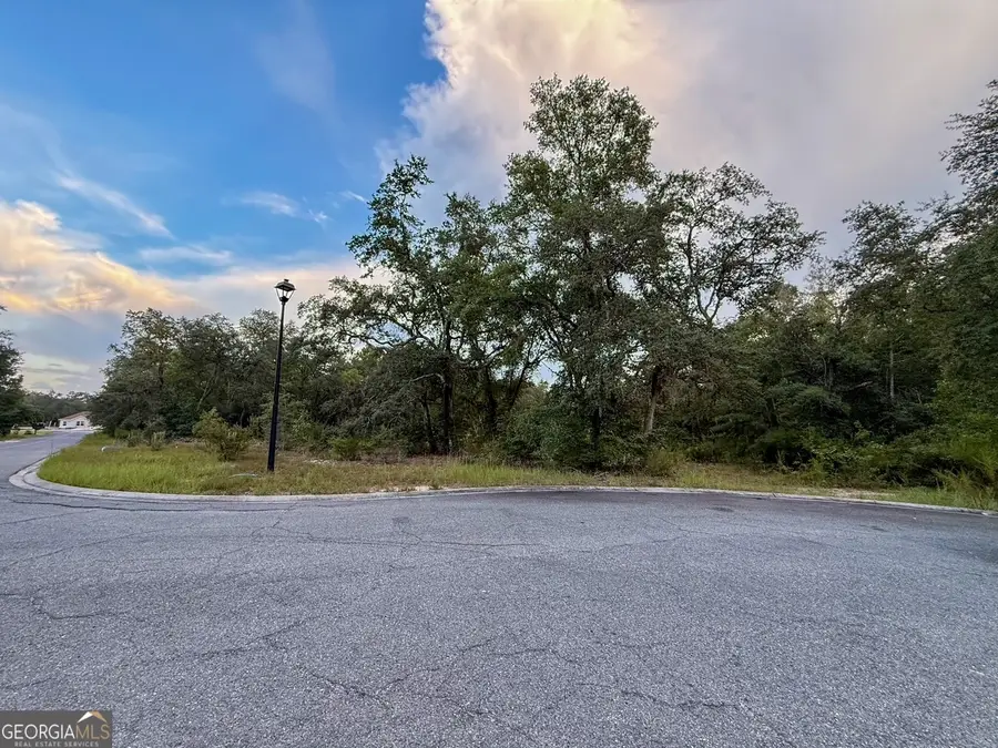 6005 & 6007 Tree Top Lane, Blackshear, GA 31516 - Image #2