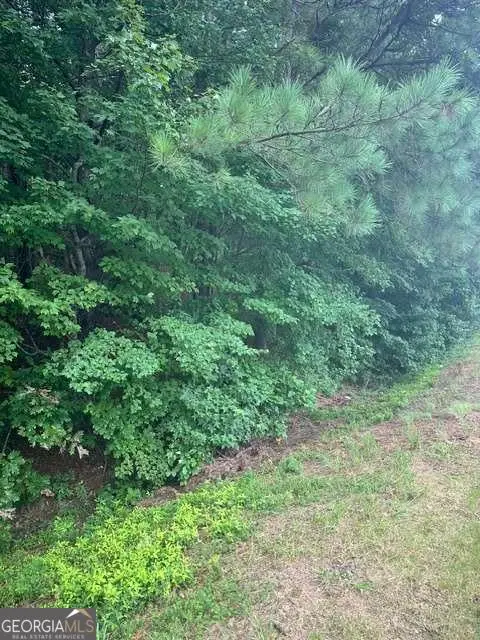 3533 Mcever Road, Gainesville, GA 30504 - Image #1