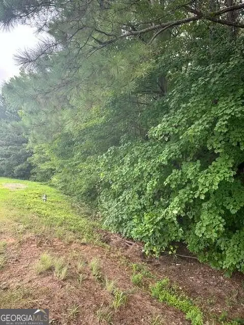 3533 Mcever Road, Gainesville, GA 30504 - Image #3