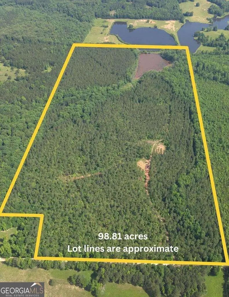 98.81 Ellis Road, Greenville, GA 30222 - #1