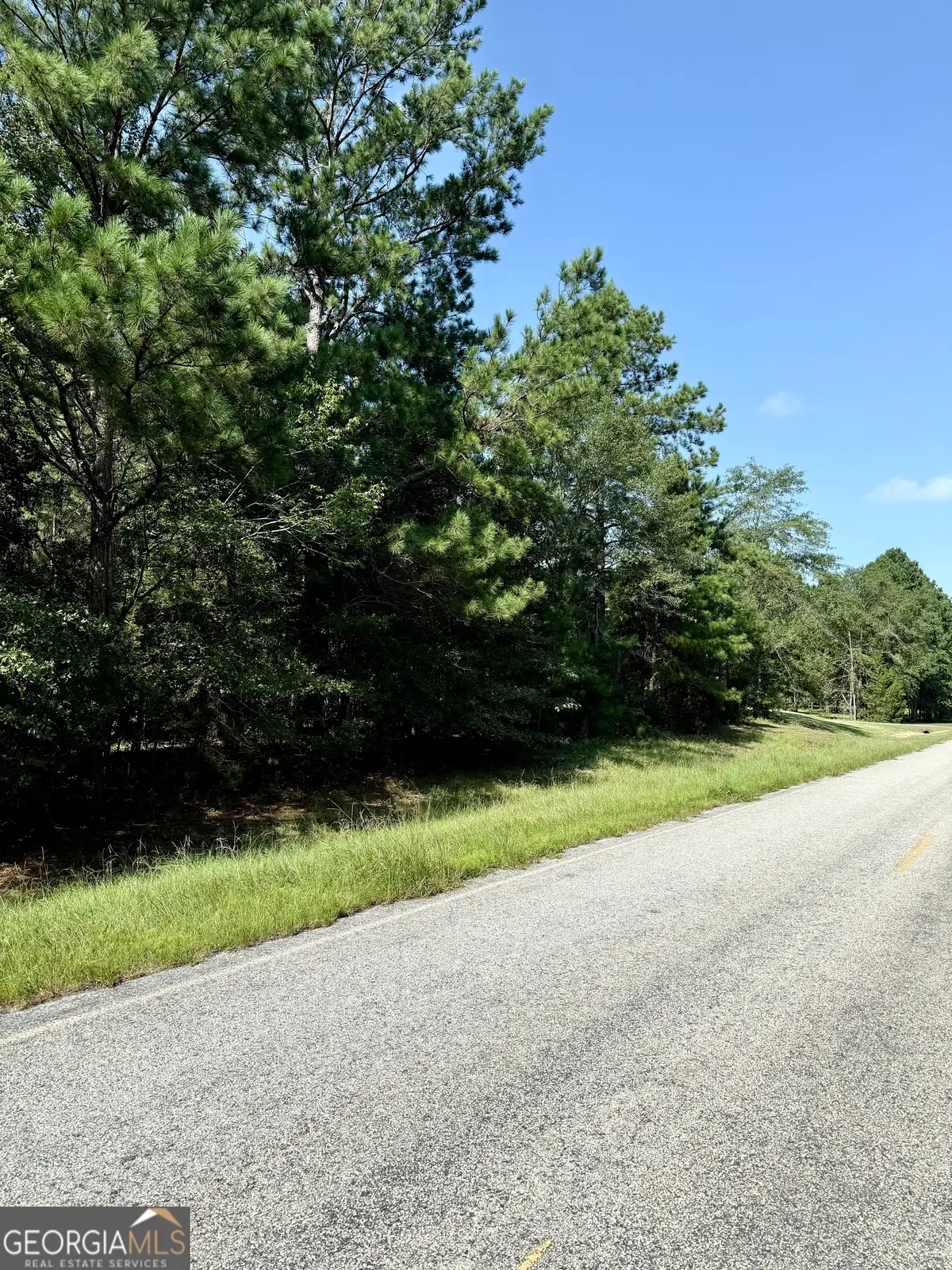 0 Best Bridge Road, Sylvania, GA 30467 - Image #1