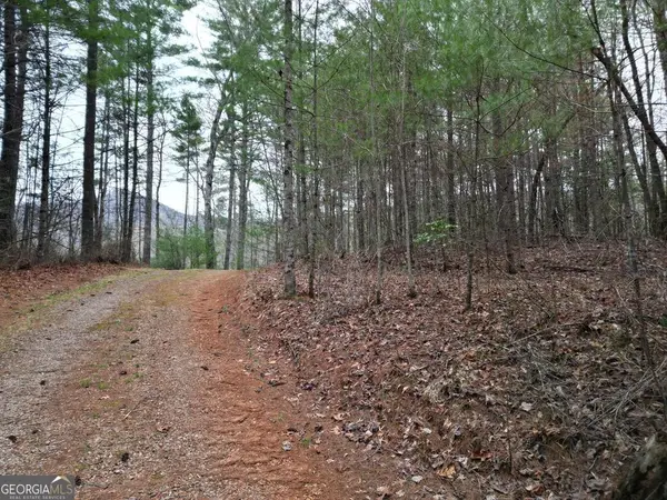 0 Grape Creek Road, Murphy, NC 28906