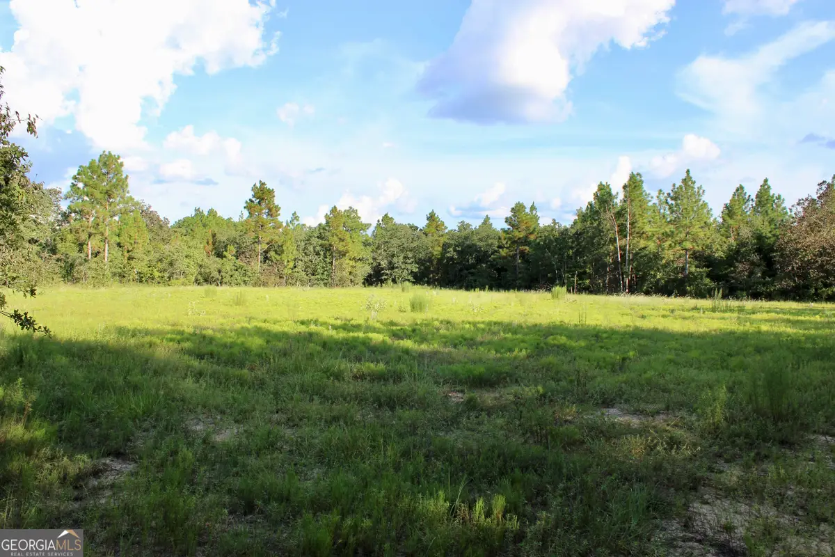 467 Mccall Road, Butler, GA 31006 - Image #1