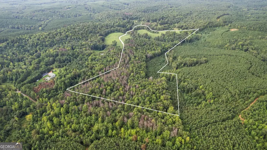 0 Treat Mountain Road, Cedartown, GA 30125 - Image #2