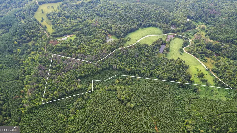 0 Treat Mountain Road, Cedartown, GA 30125 - Image #3